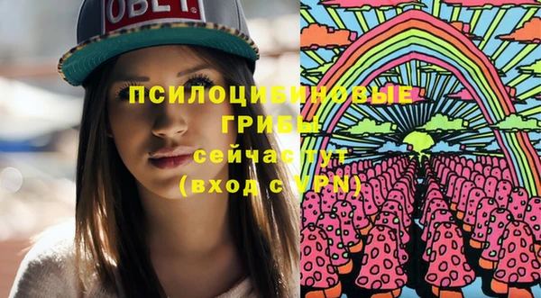 ГАЛЛЮЦИНОГЕННЫЕ ГРИБЫ Балахна