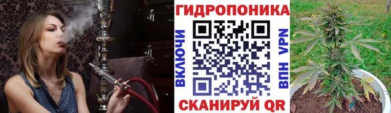 сколько стоит  Соль-Илецк  Конопля индика 